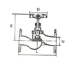 Globe Valve