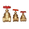 Globe Valve