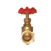 Globe Valve