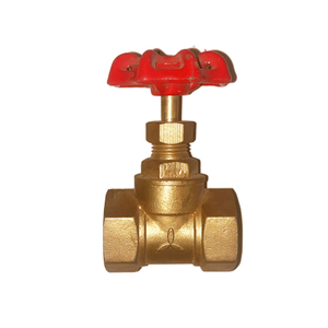 Globe Valve