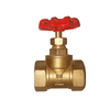 Globe Valve